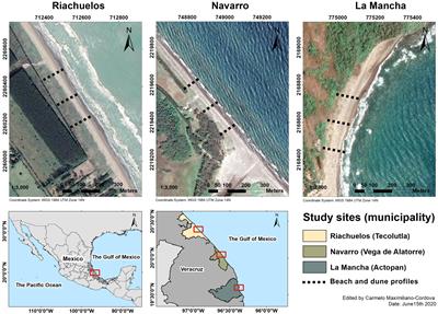 Assessing the Impact of a Winter Storm on the Beach and Dune Systems and Erosion Mitigation by Plants